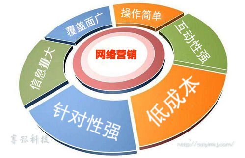 賽銀科技 網(wǎng)絡營銷現(xiàn)狀及未來發(fā)展趨勢